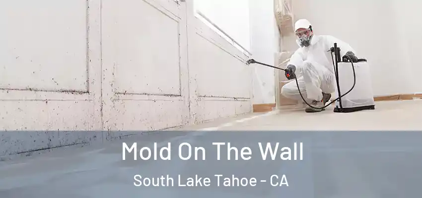  Mold On The Wall South Lake Tahoe - CA