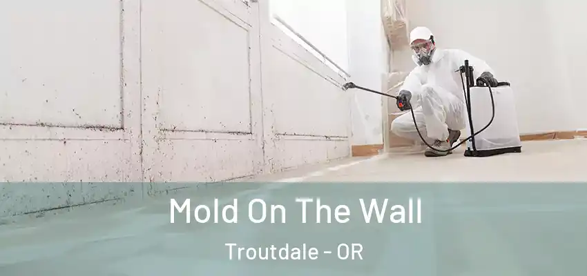  Mold On The Wall Troutdale - OR