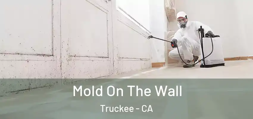  Mold On The Wall Truckee - CA