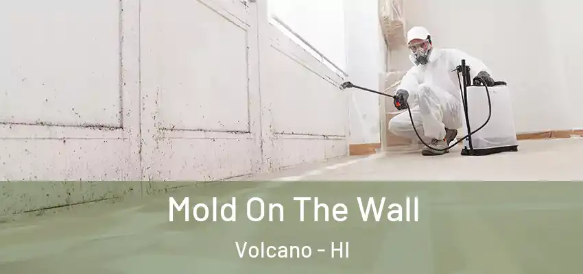  Mold On The Wall Volcano - HI