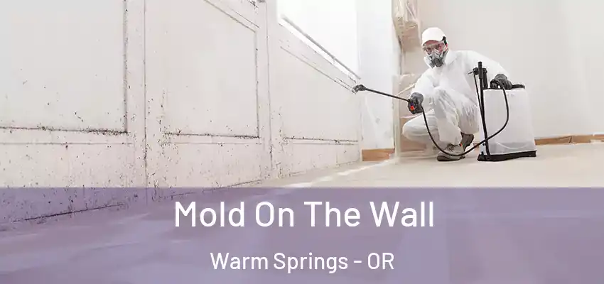 Mold On The Wall Warm Springs - OR
