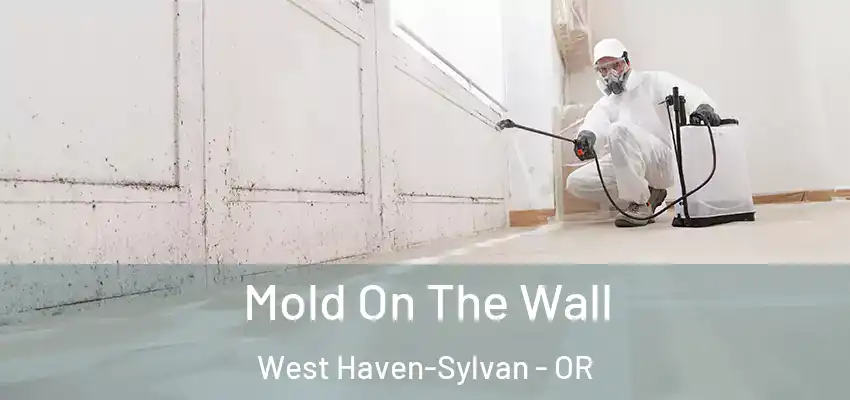  Mold On The Wall West Haven-Sylvan - OR
