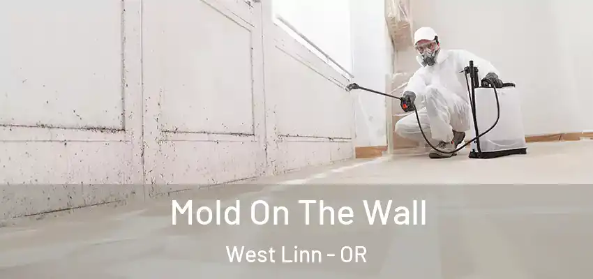 Mold On The Wall West Linn - OR