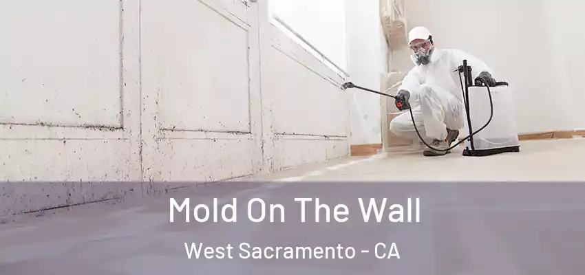  Mold On The Wall West Sacramento - CA