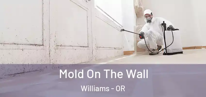  Mold On The Wall Williams - OR