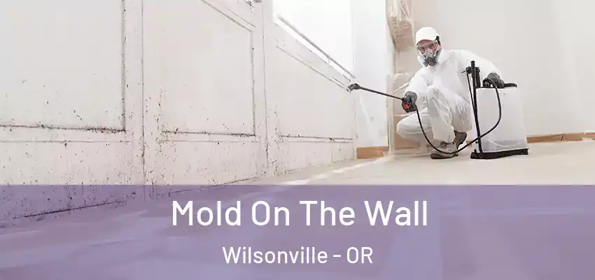  Mold On The Wall Wilsonville - OR