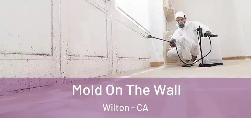  Mold On The Wall Wilton - CA