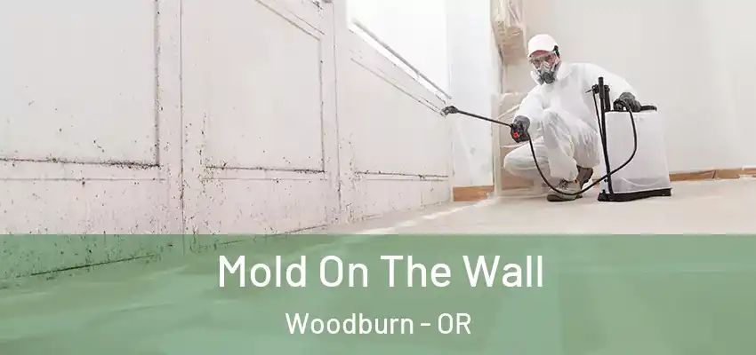  Mold On The Wall Woodburn - OR