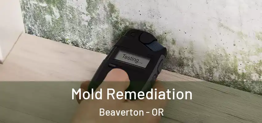  Mold Remediation Beaverton - OR