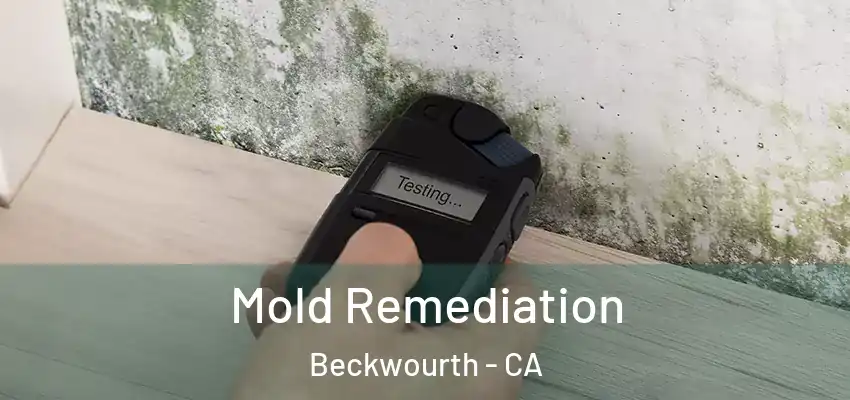  Mold Remediation Beckwourth - CA