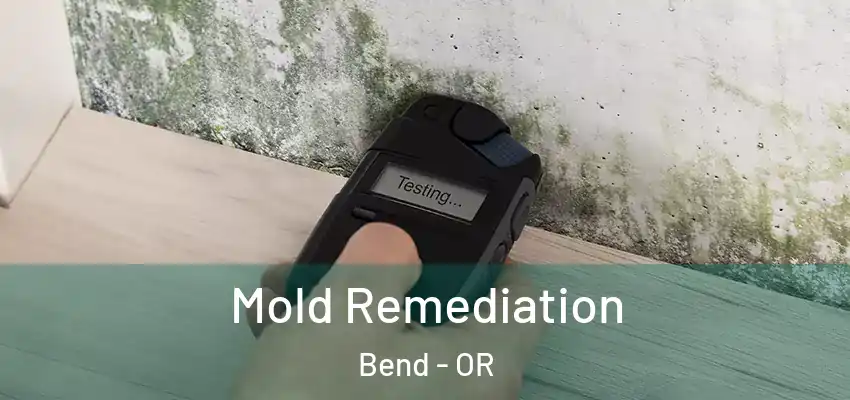  Mold Remediation Bend - OR