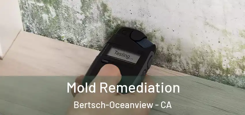  Mold Remediation Bertsch-Oceanview - CA