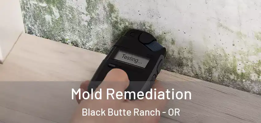  Mold Remediation Black Butte Ranch - OR