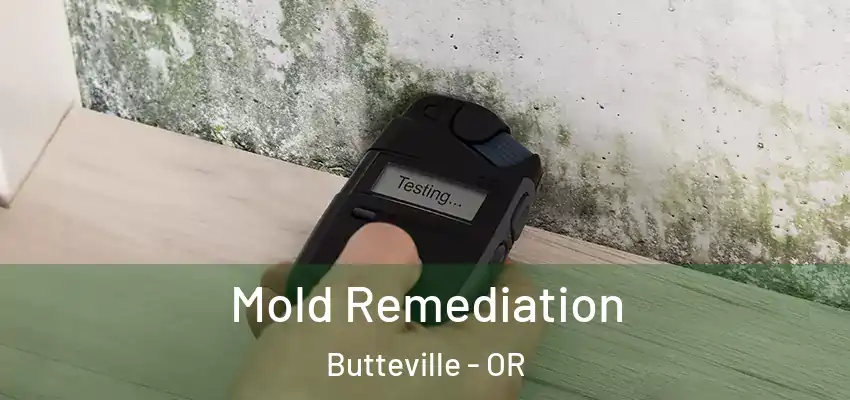  Mold Remediation Butteville - OR