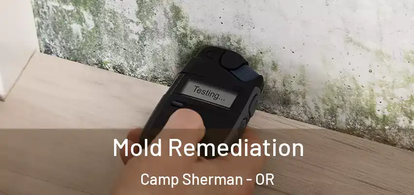  Mold Remediation Camp Sherman - OR