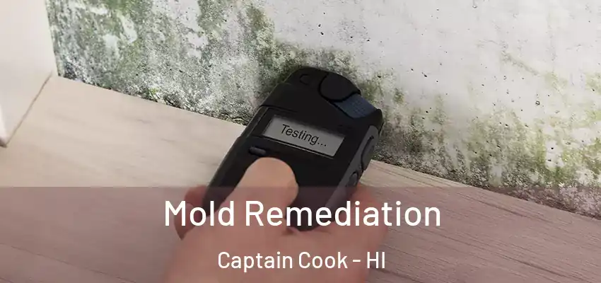 Mold Remediation Captain Cook - HI