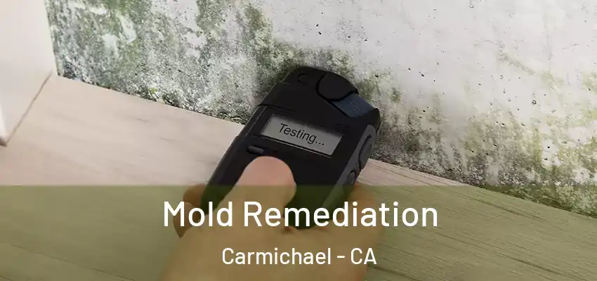  Mold Remediation Carmichael - CA
