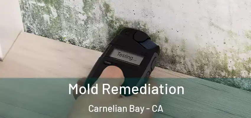  Mold Remediation Carnelian Bay - CA