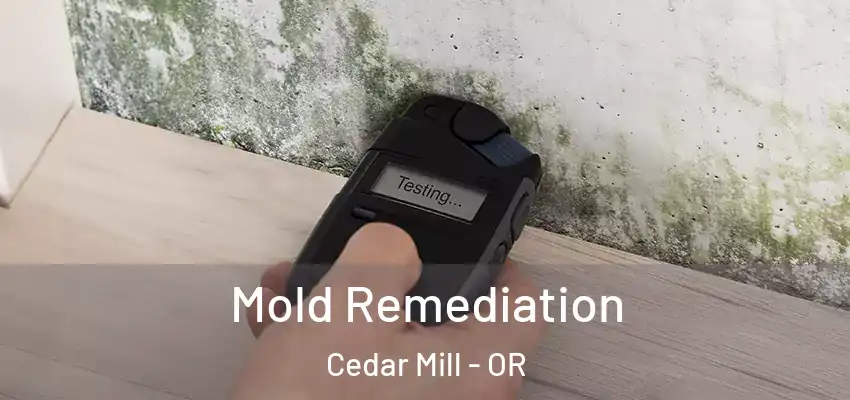  Mold Remediation Cedar Mill - OR