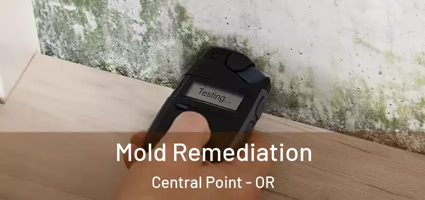  Mold Remediation Central Point - OR