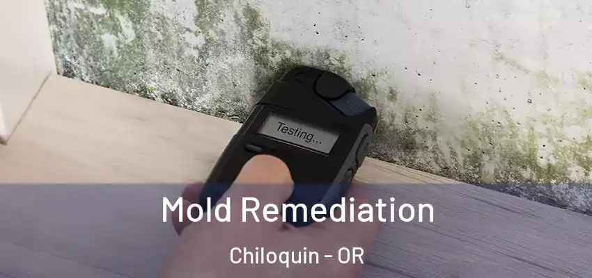  Mold Remediation Chiloquin - OR