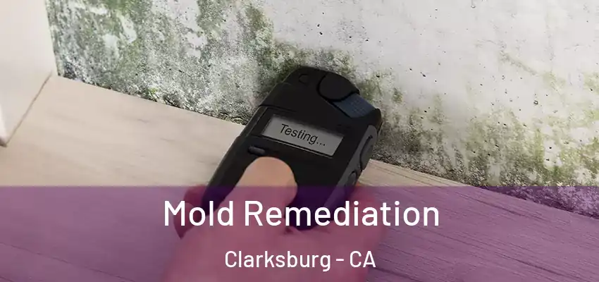  Mold Remediation Clarksburg - CA