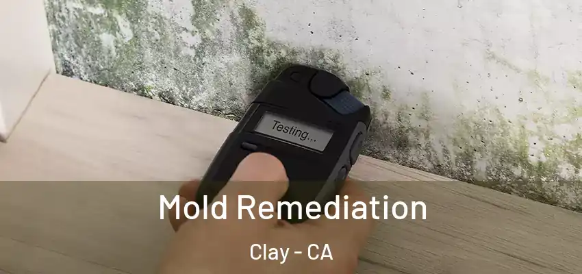  Mold Remediation Clay - CA