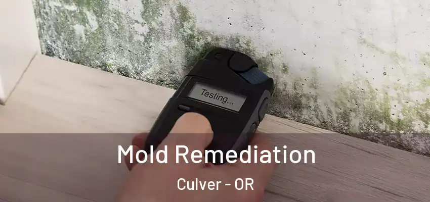  Mold Remediation Culver - OR