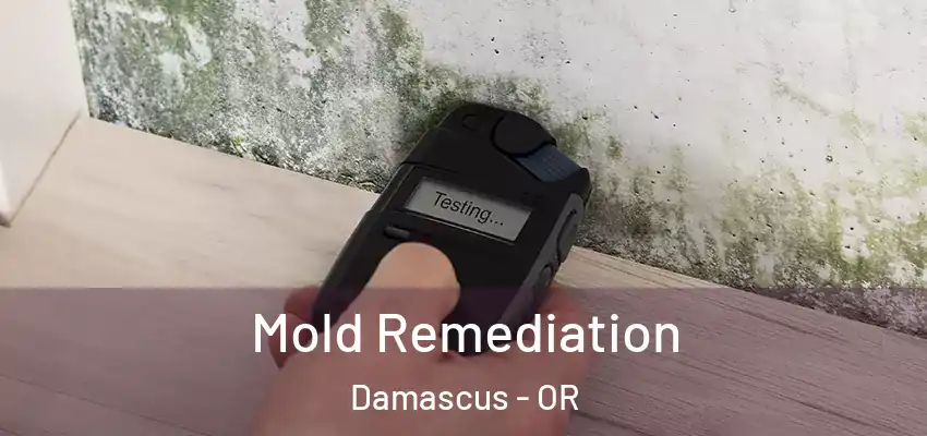 Mold Remediation Damascus - OR