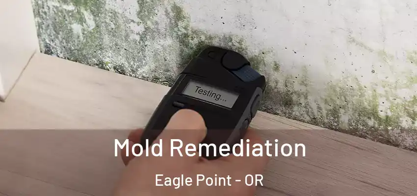  Mold Remediation Eagle Point - OR
