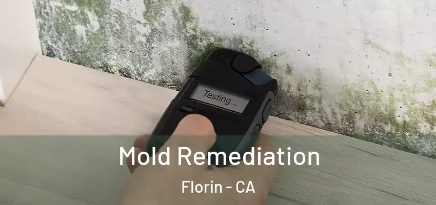  Mold Remediation Florin - CA