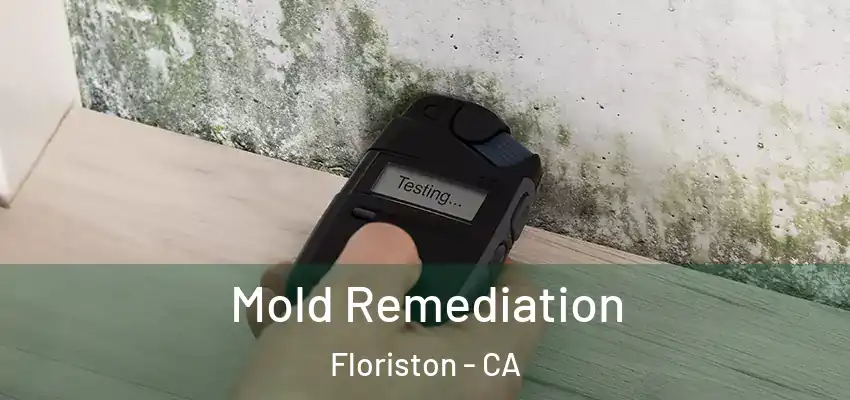  Mold Remediation Floriston - CA
