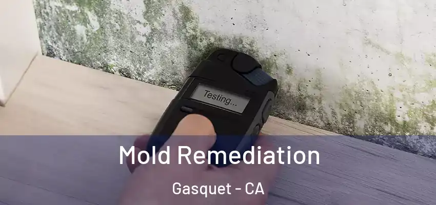  Mold Remediation Gasquet - CA