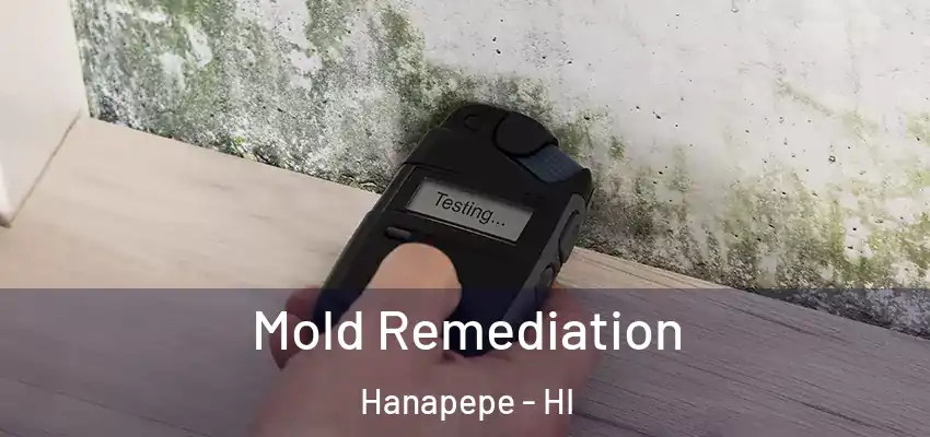  Mold Remediation Hanapepe - HI