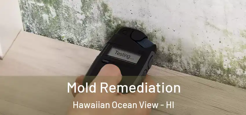  Mold Remediation Hawaiian Ocean View - HI