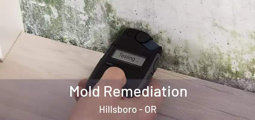  Mold Remediation Hillsboro - OR