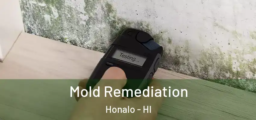  Mold Remediation Honalo - HI