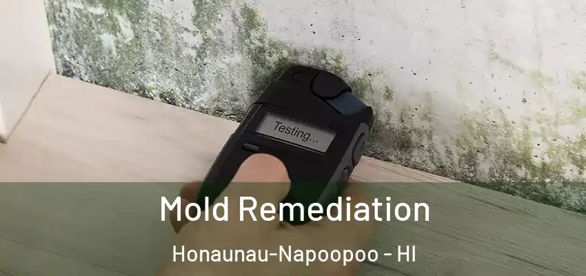  Mold Remediation Honaunau-Napoopoo - HI