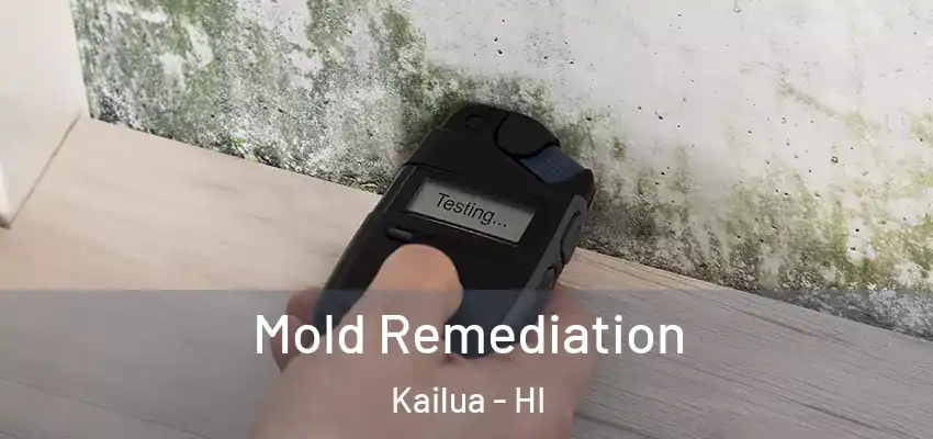  Mold Remediation Kailua - HI