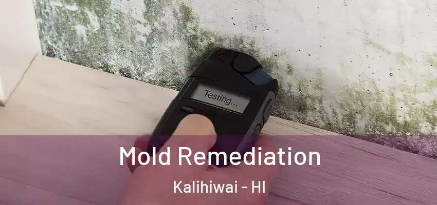  Mold Remediation Kalihiwai - HI
