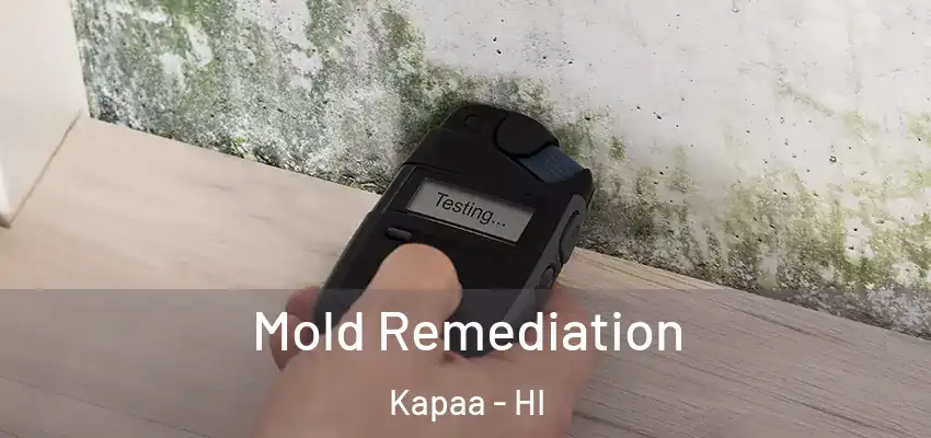  Mold Remediation Kapaa - HI