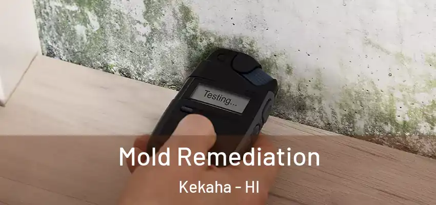  Mold Remediation Kekaha - HI