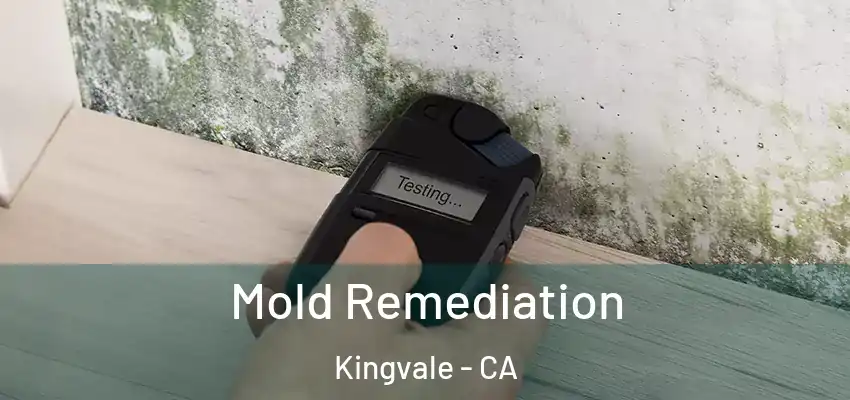  Mold Remediation Kingvale - CA