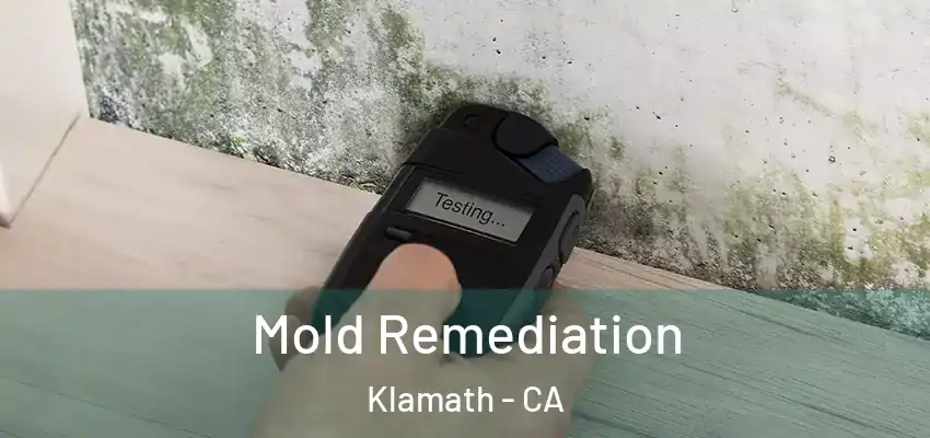  Mold Remediation Klamath - CA