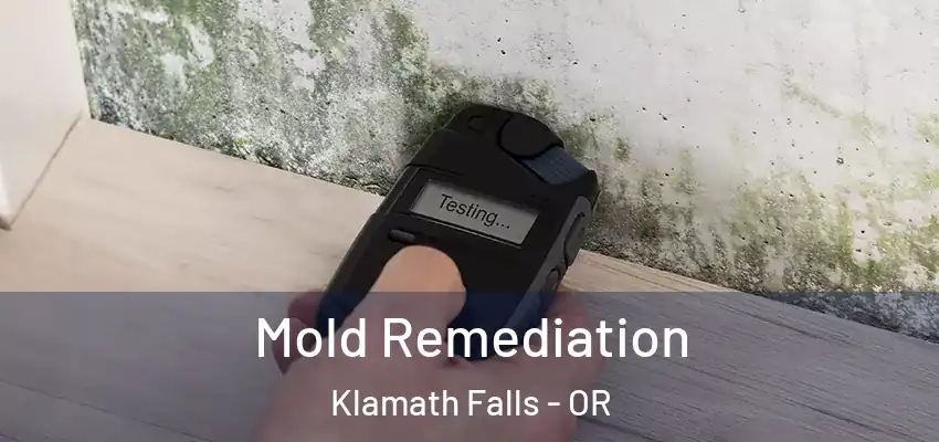  Mold Remediation Klamath Falls - OR