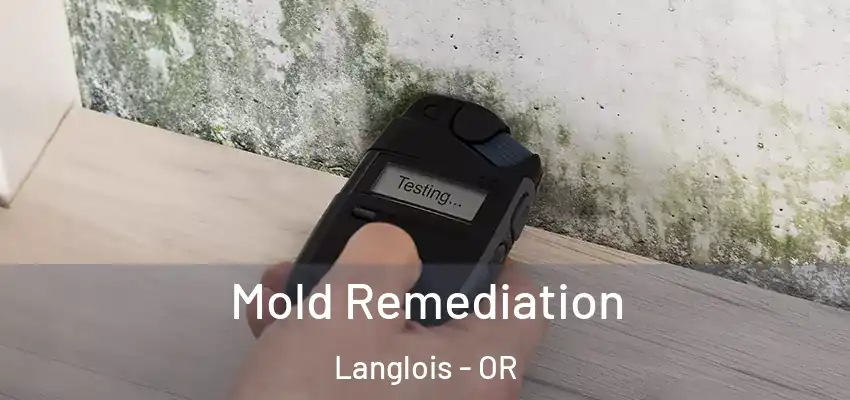  Mold Remediation Langlois - OR