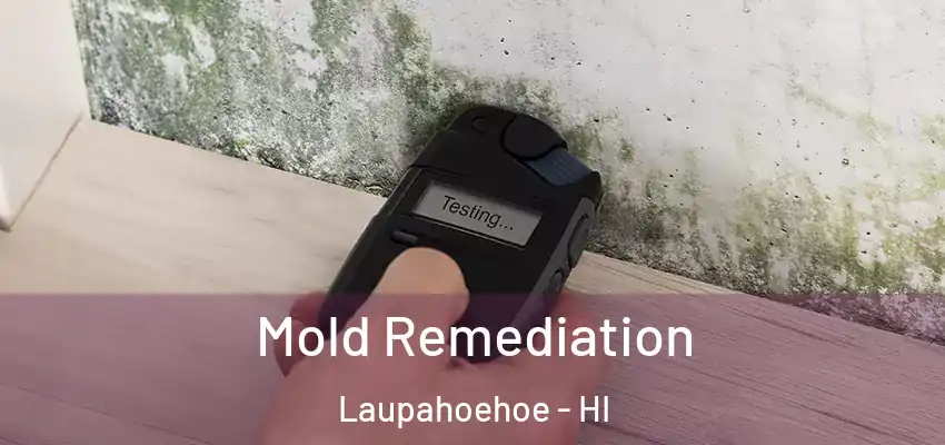  Mold Remediation Laupahoehoe - HI