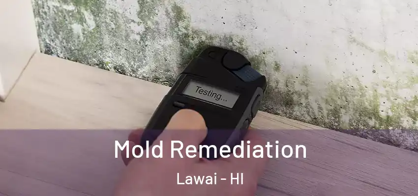  Mold Remediation Lawai - HI