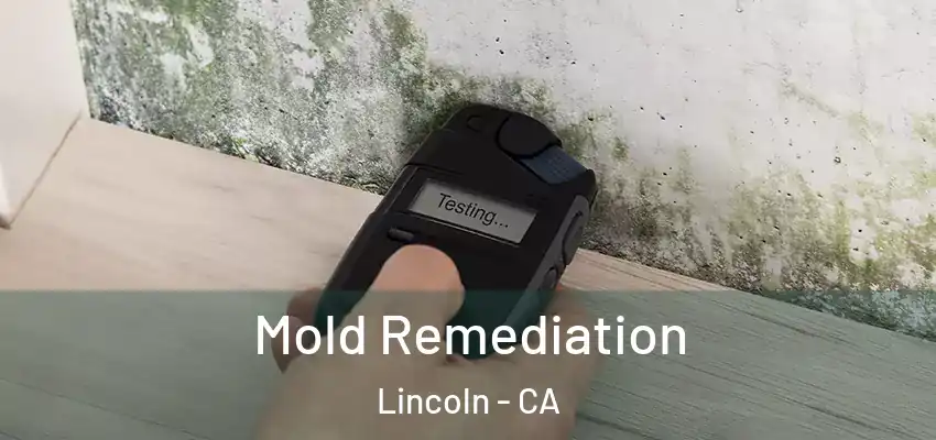 Mold Remediation Lincoln - CA