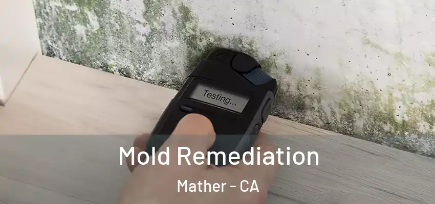  Mold Remediation Mather - CA